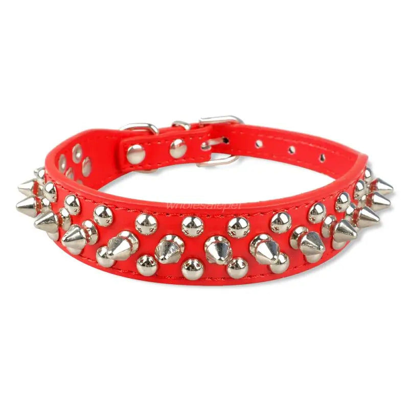Collier pour Pitbull