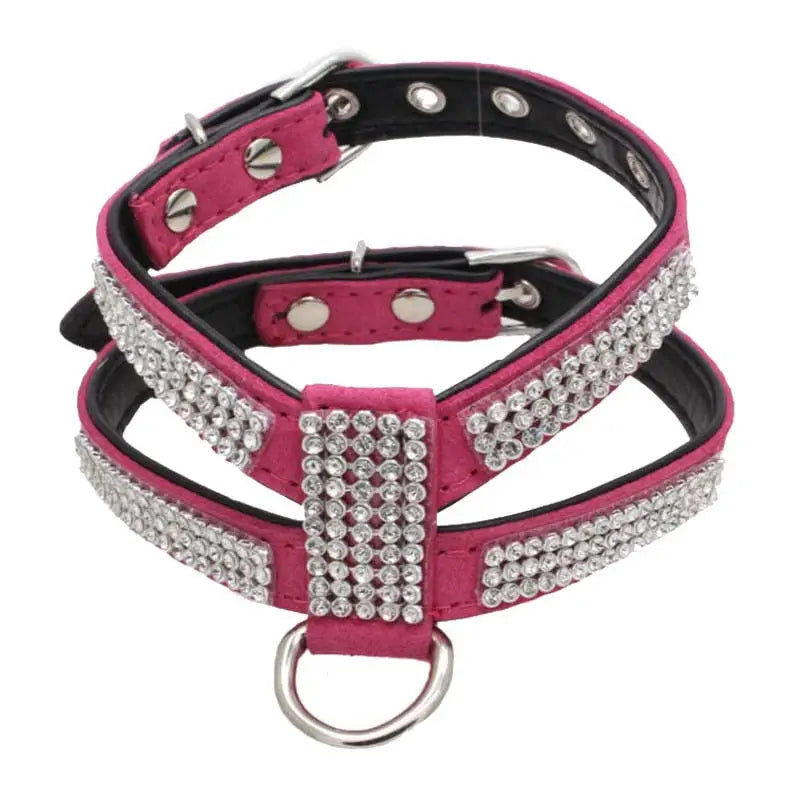 Harnais pour Chihuahua de luxe