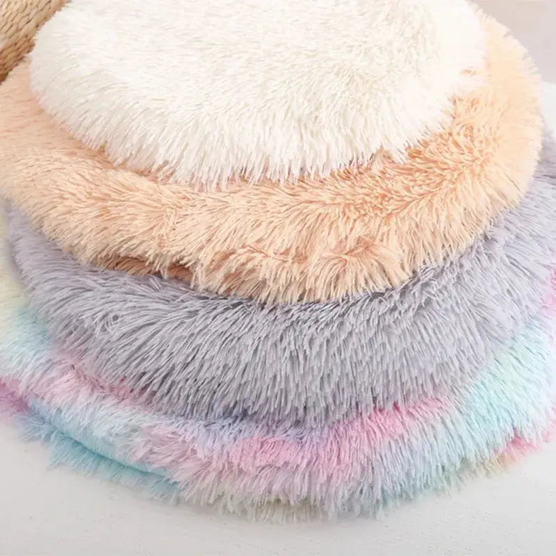 Lit rond doux pour chatons et petits chiens avec tapis de fourrure duveteuse : Douillet pour les petits