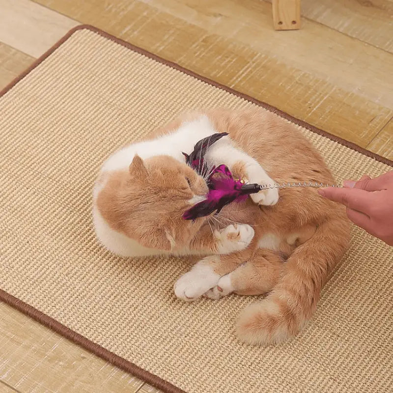Tapis à gratter de luxe : Personne nourrissant un chat sur tapis griffoir
