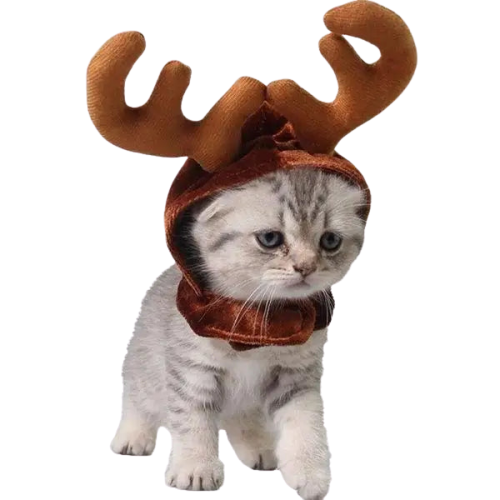 Bonnet pour Chat Renne de Noël Transparent Background