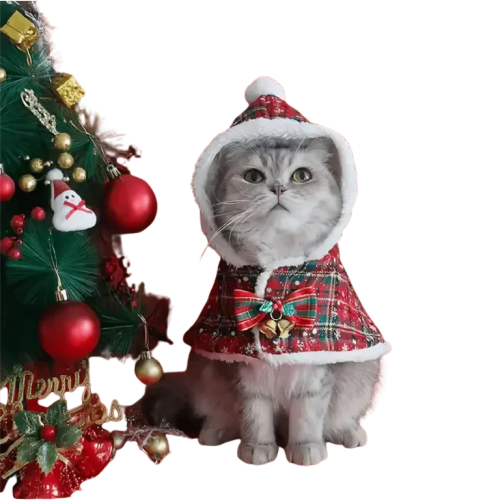 Photo d’un chat en tenue de Noël confortable à côté d’un sapin décoré Transparent Background