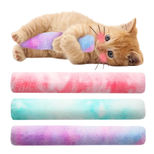 Chat couché sur une peluche colorée, jouet interactif en peluche pour chat joueur Transparent Background