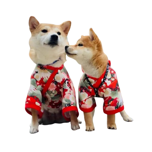 Deux moyens chiens portant des pyjamas en style kimono japonais sur le trottoir Transparent Background