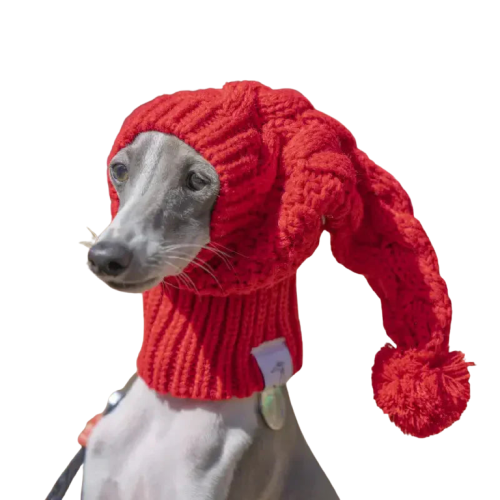 Chien en rouge Chapeau et écharpe en laine - Protection thermique, confort doux, bonnet élégant Transparent Background