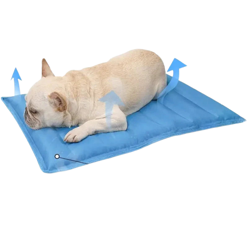 Non-Toxic Gel Dog Cooling Mat - chien gel tapis rafraîchissant avec chien couché sur couverture bleue avec flocons de neige Transparent Background