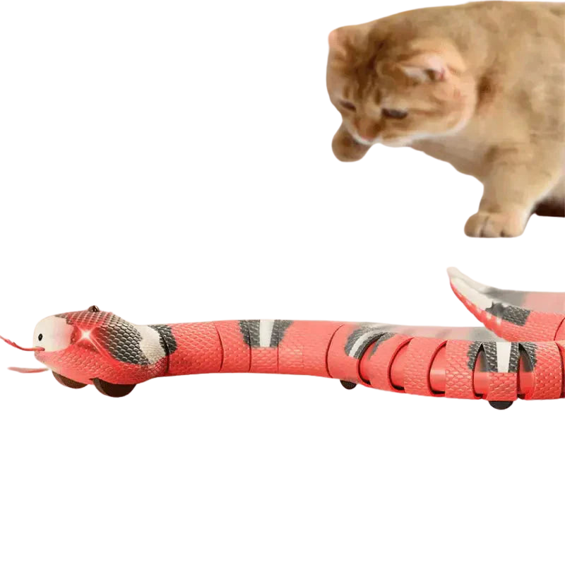 Chat jouant avec un serpent jouet interactif sur le sol Transparent Background