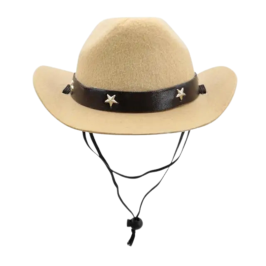 Chapeau pour Chien Cowboy Texan Transparent Background