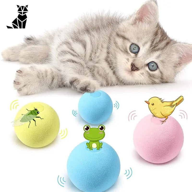 Chaton jouant avec la balle interactive Smart Ball pour chats : Jouet d’entraînement sonore