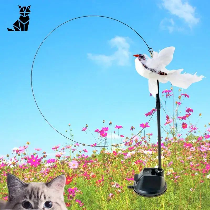 Birdfamily™: Jouet Pour Chat Avec Ventouse Puissante Pour Assouvir Sa Chasse! - Blanc