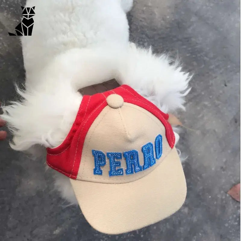 Casquette pour Chien Streetwear Yorkshire