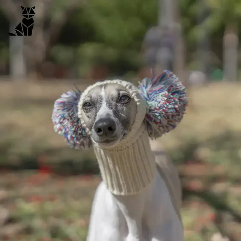 Chapeau de chien pour les promenades d’hiver : Chien en bonnet tricoté avec fleur bleue et blanche, parfait pour les promenades