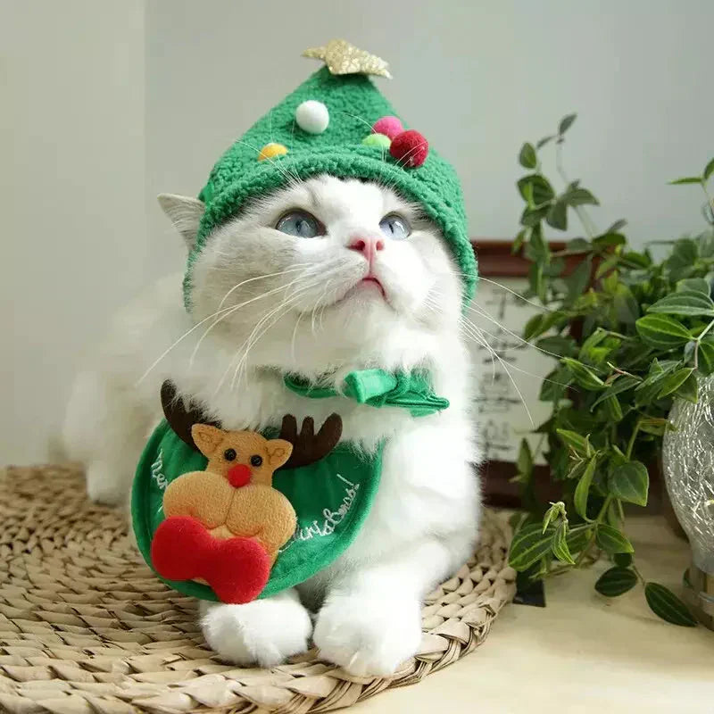 Chapeau et écharpe de Noël pour chat - Accessoires de fête parfaits pour votre chaton du Père Noël