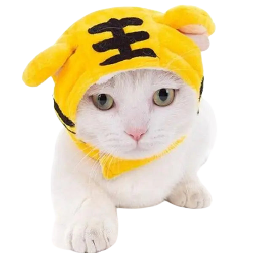 Bonnet pour Chat en Tricot Tigre Transparent Background