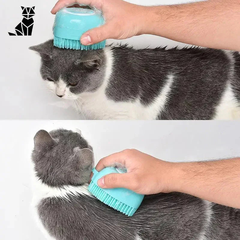 DouceurPelage™ brosse : Chat joue et se toilette avec une brosse sur la tête