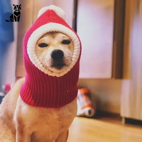 Bob pour Chien Cagoule de Noël