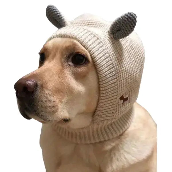 Bonnet pour Chien Intégral Oreilles Transparent Background