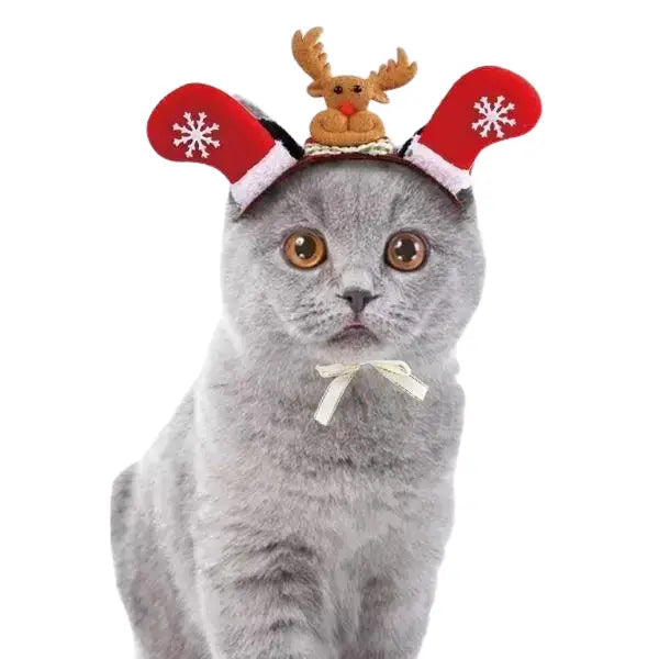 Chapeau pour Chat Fêtes de Noël Transparent Background