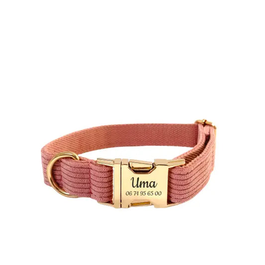 Collier Chien Personnalisé Velours Côtelé Corail Transparent Background
