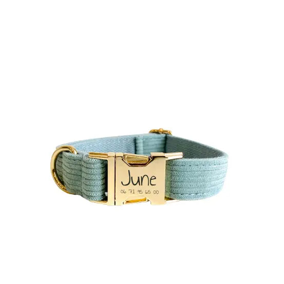 Collier Chien Personnalisé Velours Côtelé Bleu Ciel Transparent Background