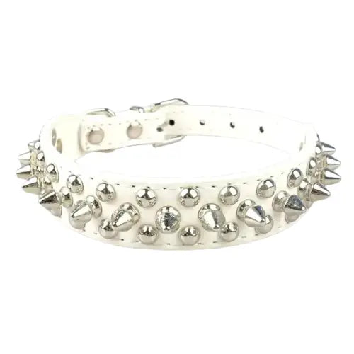 Collier pour Pitbull Transparent Background