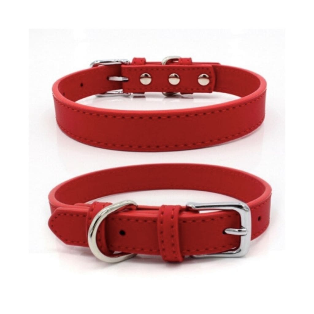 Collier imitation cuir pour chien