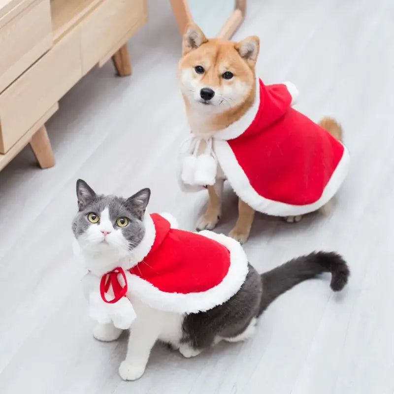 Deux chats en costumes de Noël sur un sol blanc - Festive Cat Costume facile à mettre