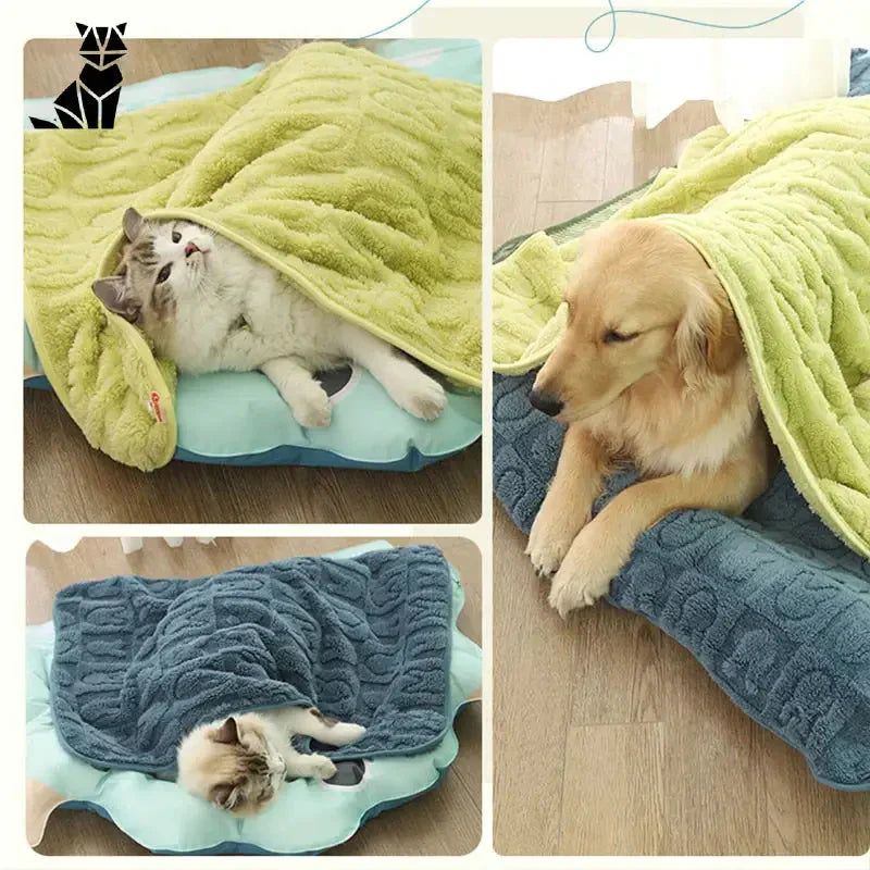 Chat et chien couchés sur une couverture douillette pour les nuits froides - Couverture pour Nuits Froides