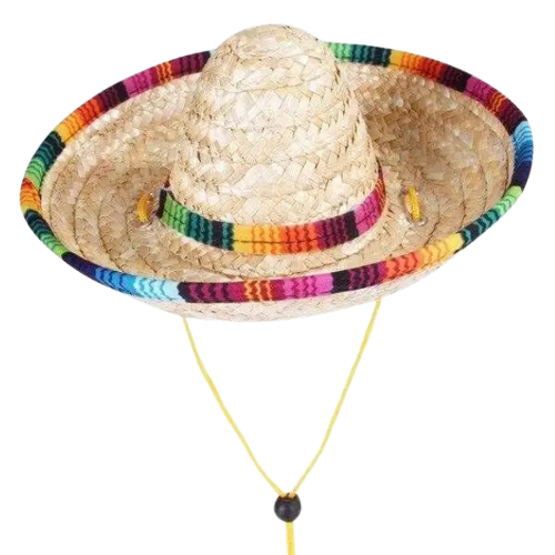 Chapeau pour Chien Paille Multicolore Transparent Background