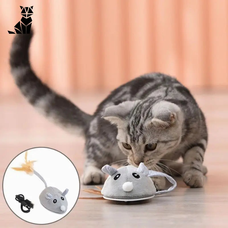 Souris pour chat | Souricat™