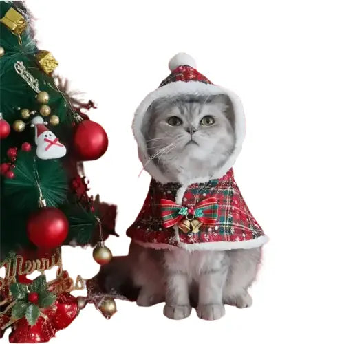 Photo d’un chat en tenue de Noël confortable à côté d’un sapin décoré Transparent Background