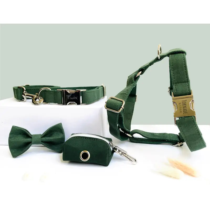 Kit Complet Chien Personnalisé Coton Vert Sapin
