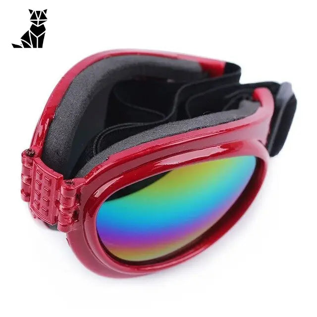 Casquette pour Chien & Lunettes de Motard