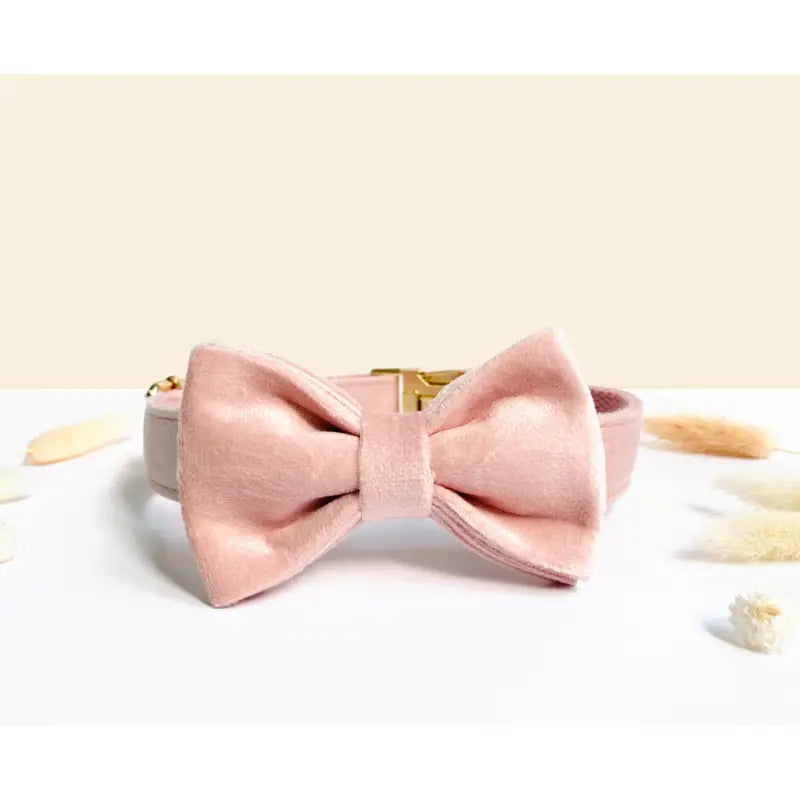 Kit Complet Chien Personnalisé Velours Rose
