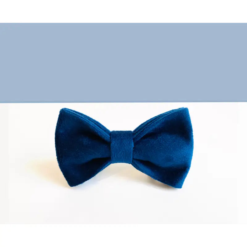 Kit Complet Chien Personnalisé Velours Bleu Marine