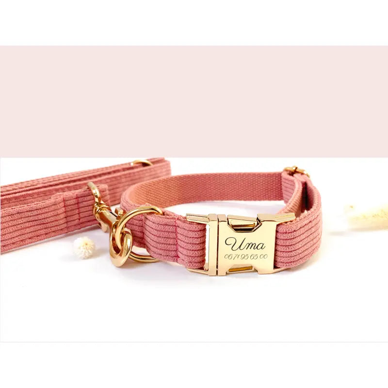 Kit Complet Chien Personnalisé Velours Côtelé Corail