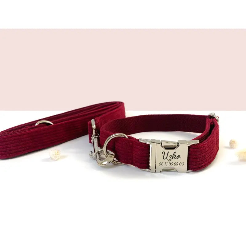 Kit Complet Chien Personnalisé Velours Côtelé Bordeaux