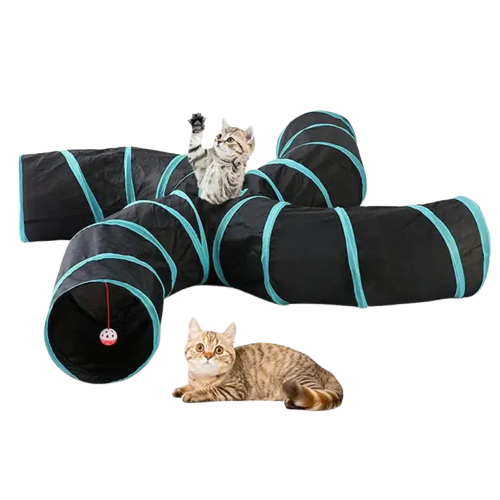 Tunnel de jeu pour chat noir et bleu, en nylon durable et amusant Transparent Background