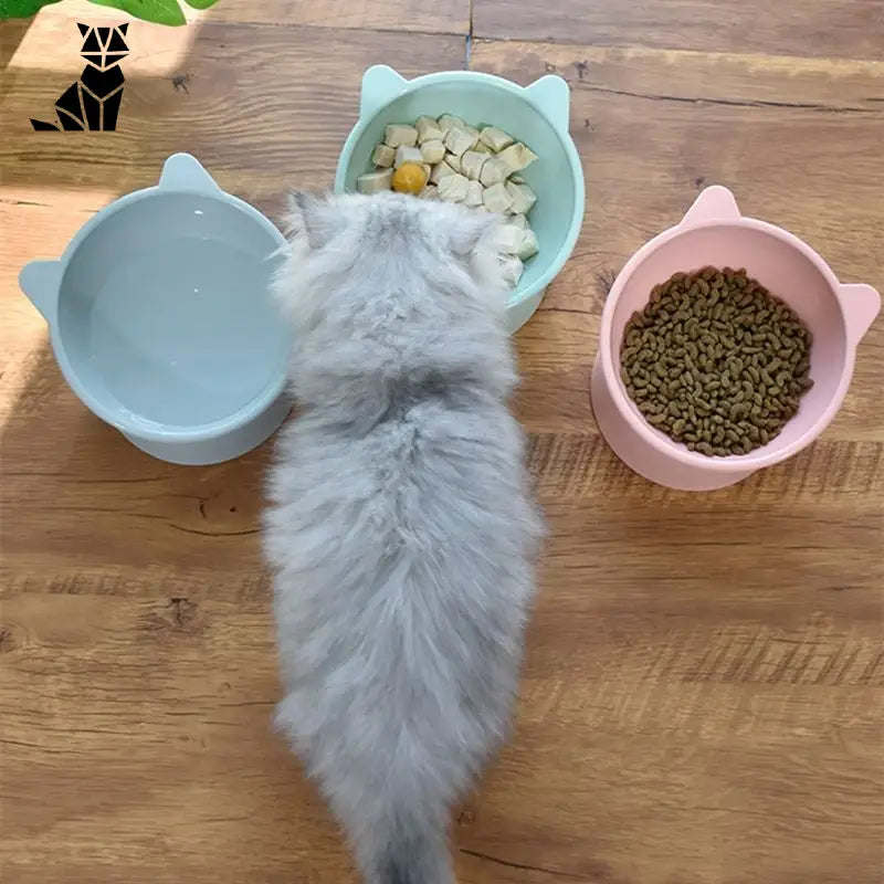 Gamelle chat surélevée | TopDiner™