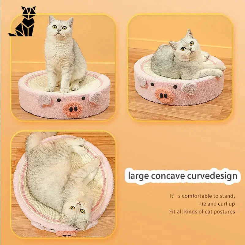 Chat couché sur un lit rose pour chat & Chic Cat Scratching Post : confort douillet pour les chats