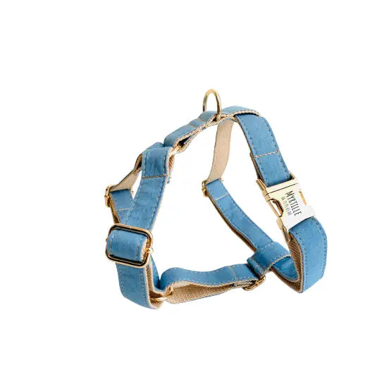 Harnais Chien Personnalisé Coton Bleu Jean Transparent Background