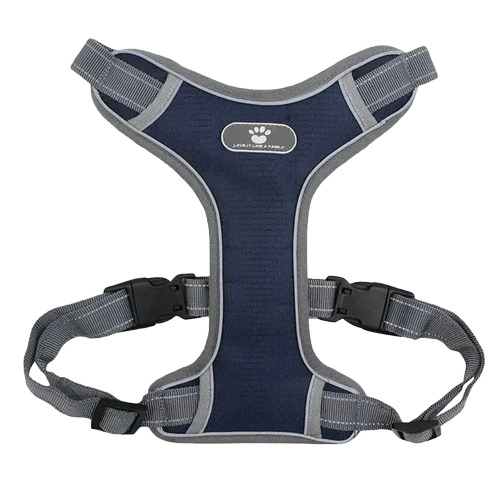 Harnais pour Molosse Transparent Background