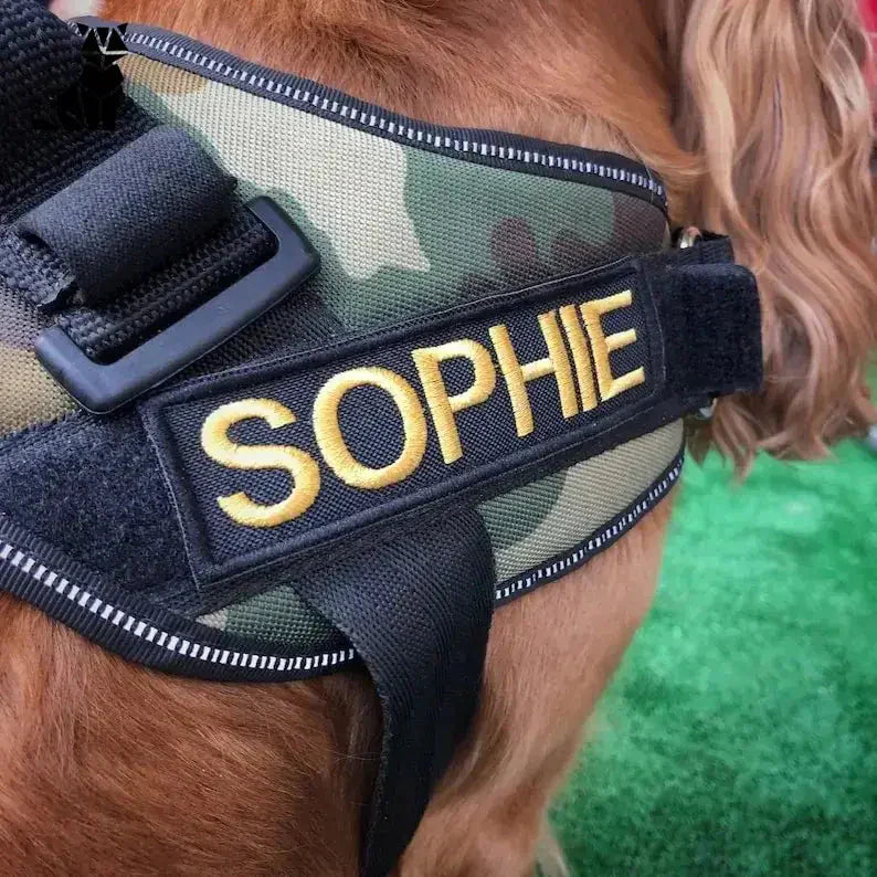 Harnais personnalisé pour chien : Gilet de camouflage pour la sécurité et le style