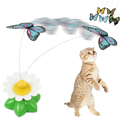 Jeu Papillon Interactif: Le Jouet Idéal Pour Votre Chat Aventurier - Aléatoire Transparent Background