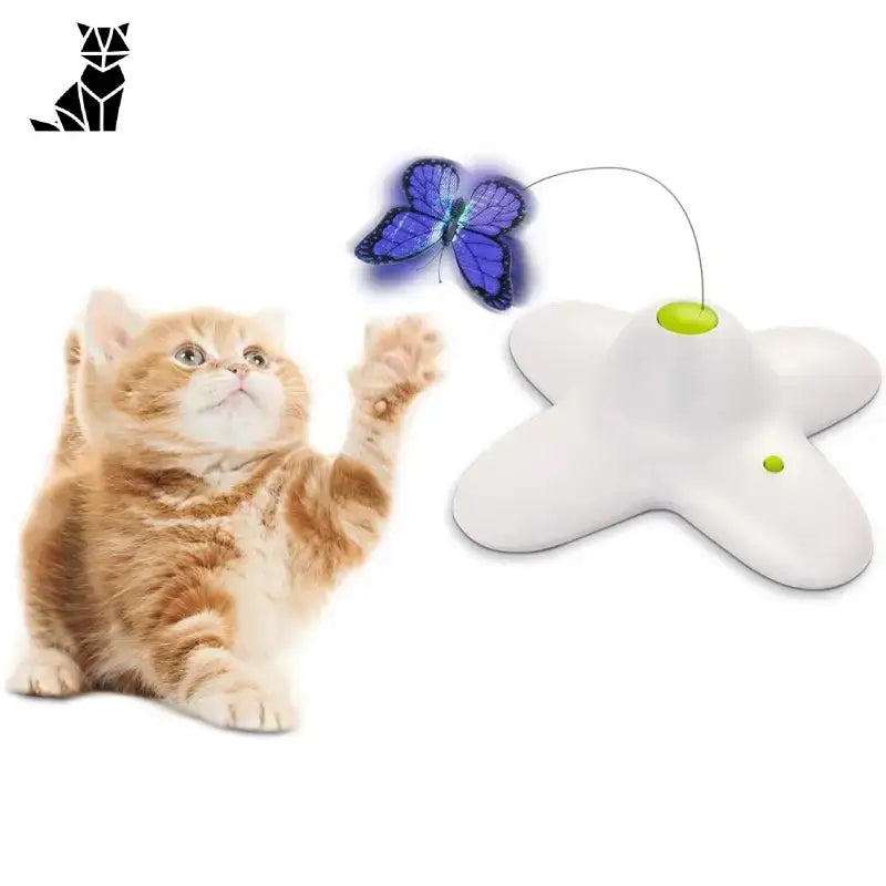 Jeu Papillon Interactif Pour Chats: Divertissement Et Stimulation!