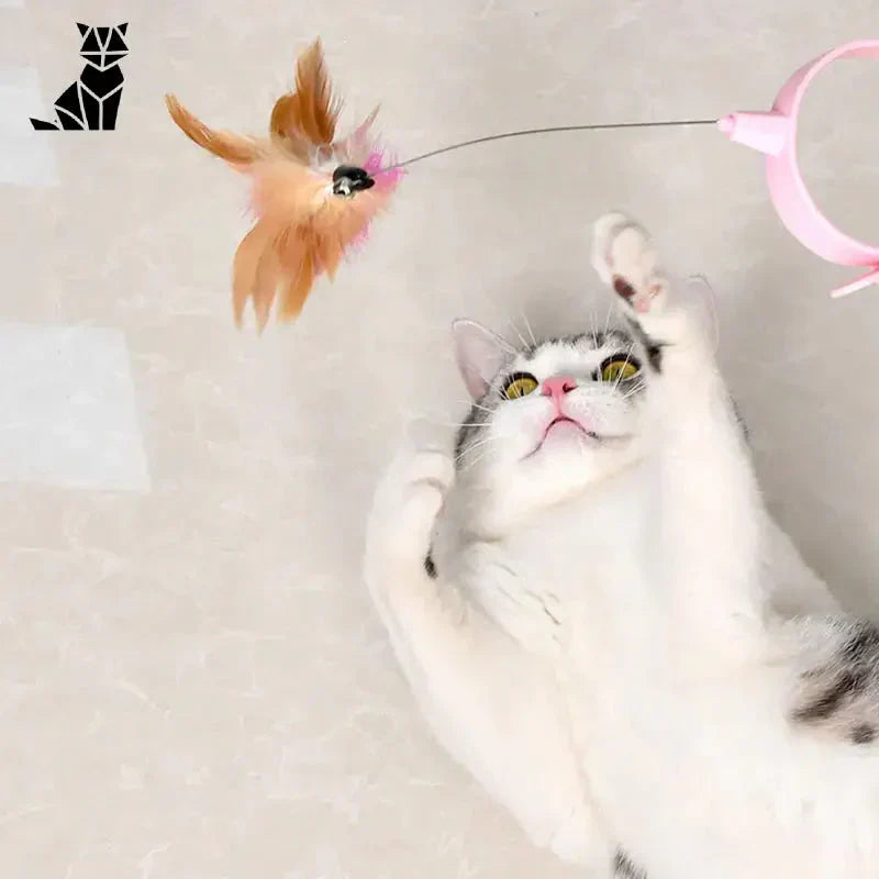 Un chat jouer ensemble avec un jouet sur le sol, produit ’Play together with CatyPlume’