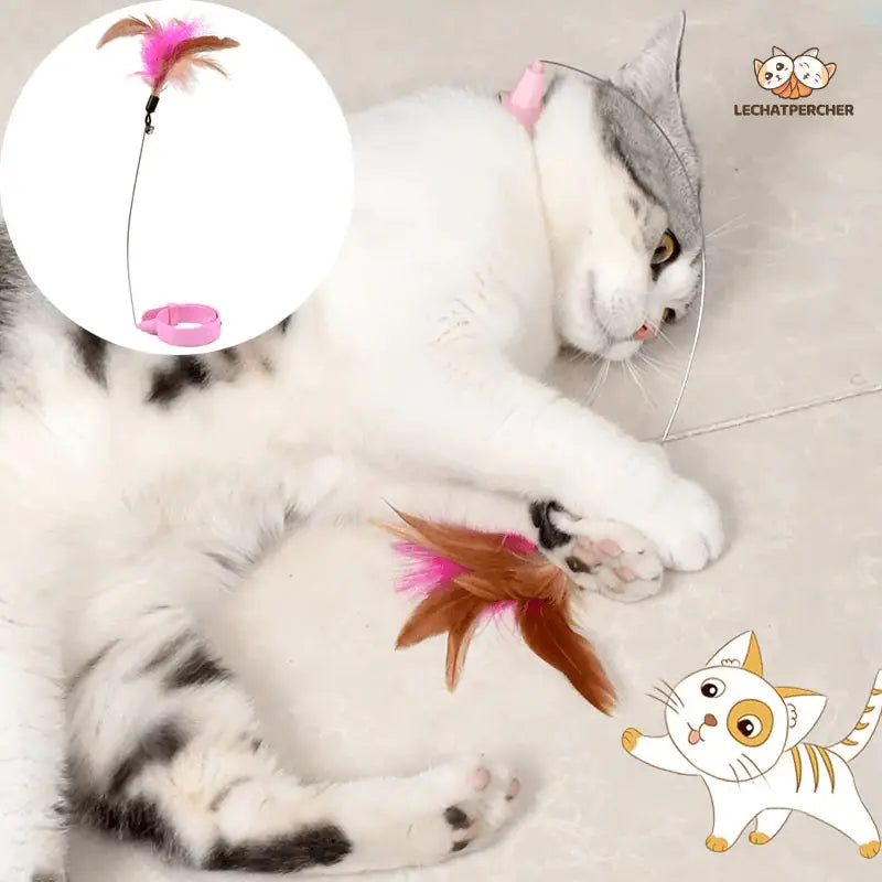 Chat jouant avec un jouet au sol - Jouer ensemble avec CatyPlume