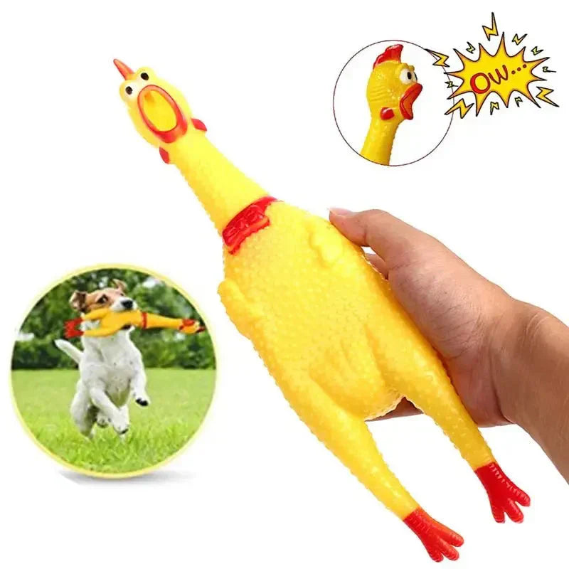 Jouet grinçant poulet pour chien - jouets couineursjetables