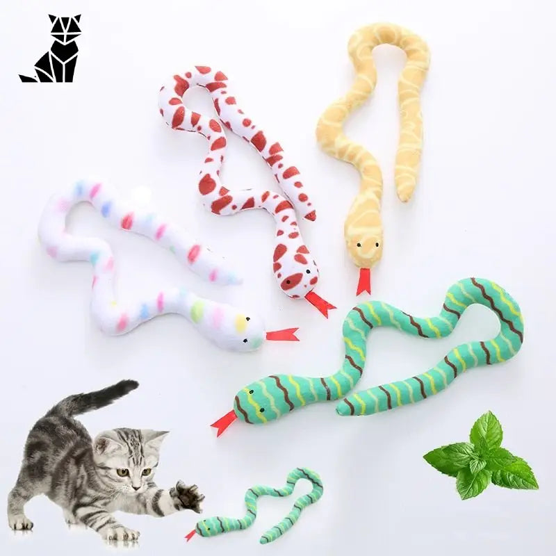 Variété de jouets sur table : jouet serpent cadeau idéal pour animaux de compagnie