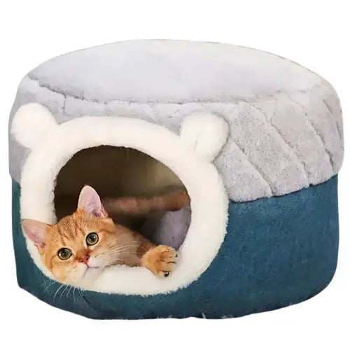 Petit chien lit : Lit douillet pour un petit chien avec un chat couché confortablement Transparent Background